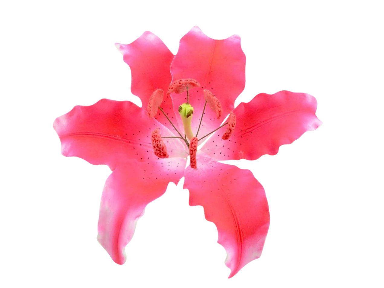 Λουλούδι από ζαχαρόπαστα Ροζ σκούρο λίλιουμ - Lily Dark Pink spray