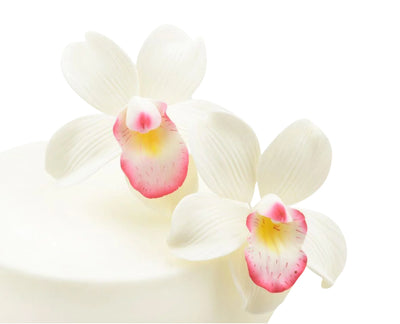 Λουλούδι από ζαχαρόπαστα Cymbidium Orchid - Cymbidium Ορχιδέα - 2 τεμάχια
