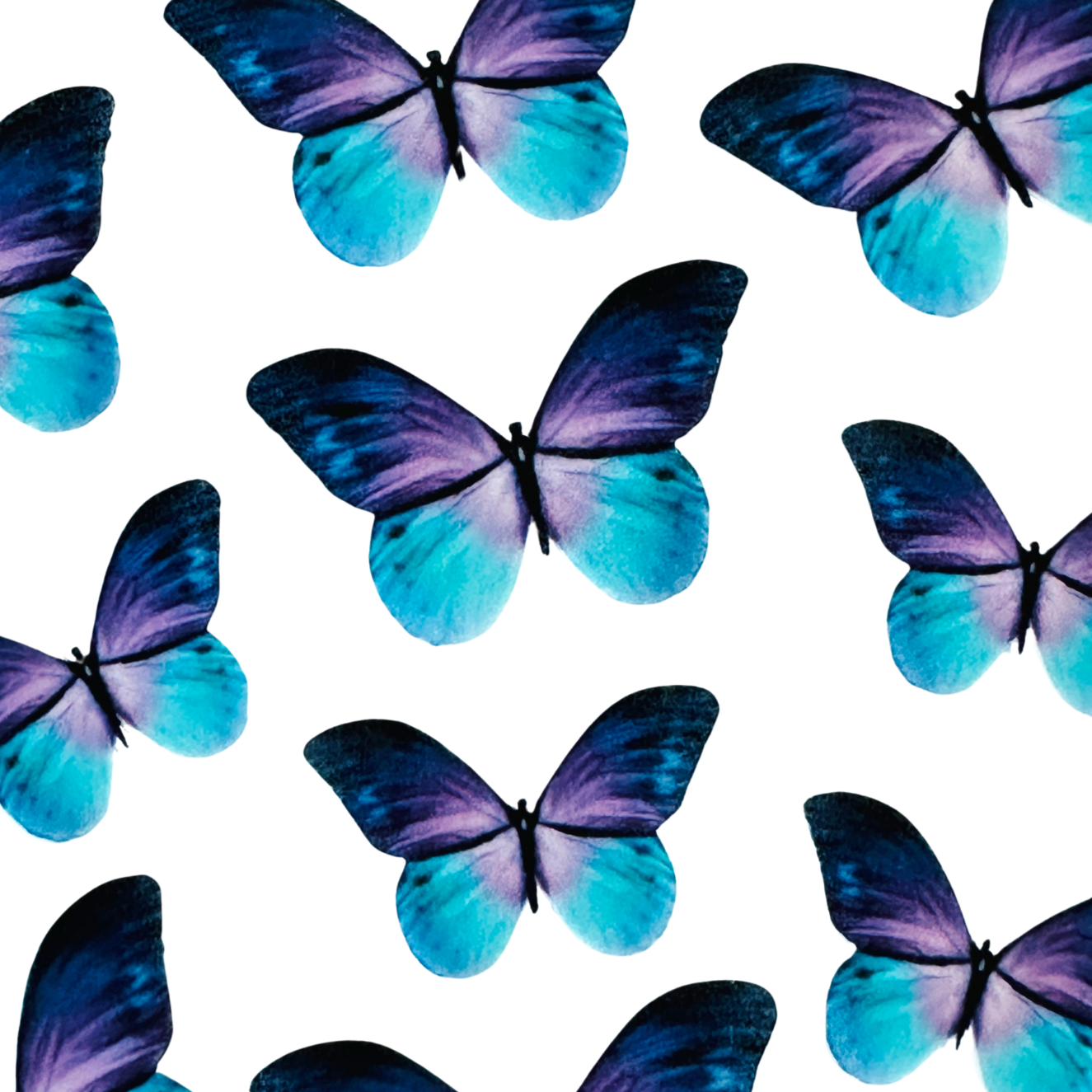Βρώσιμες πεταλούδες μωβ και γαλάζιες 24 τεμ