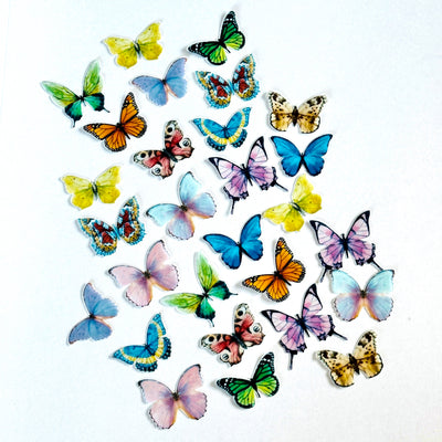 Βρώσιμες πεταλούδες 28 τεμ πολύχρωμες