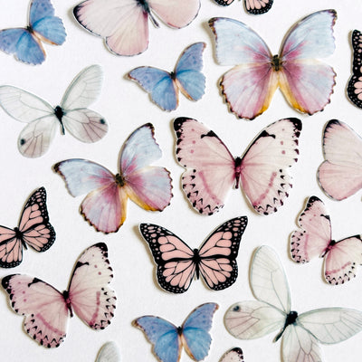 Βρώσιμες πεταλούδες ροζ και γαλάζιες 21 τεμ