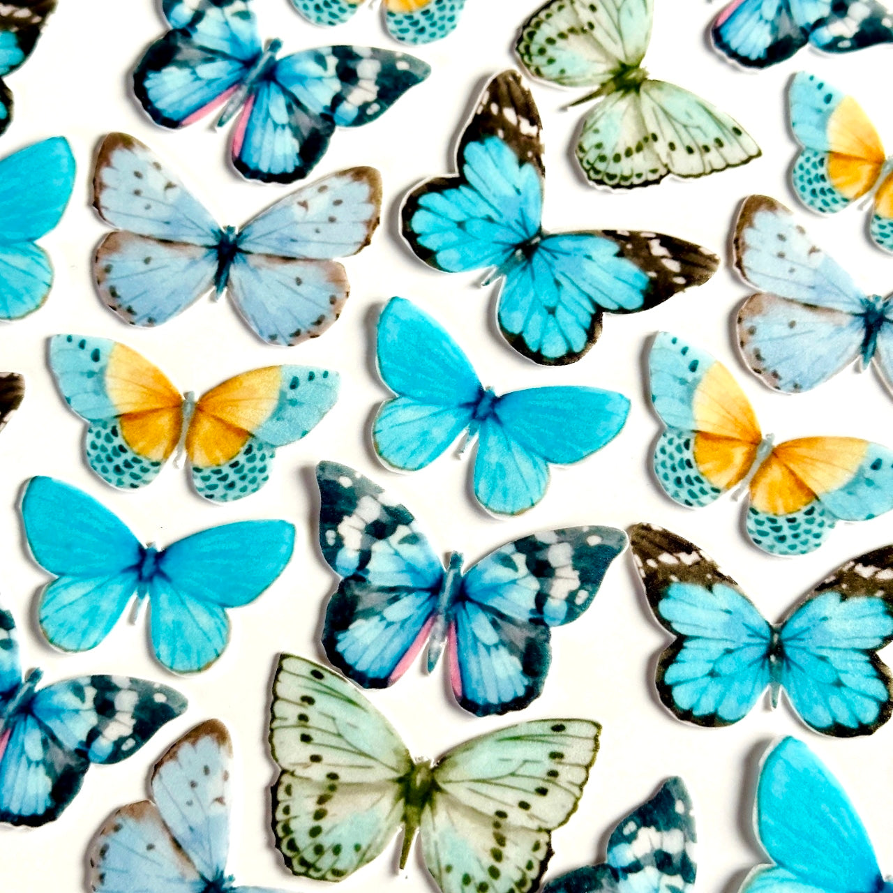 Βρώσιμες πεταλούδες γαλάζιες 34 τεμ.