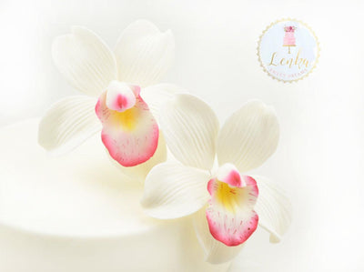 Λουλούδι από ζαχαρόπαστα Cymbidium Orchid - Cymbidium Ορχιδέα - 2 τεμάχια - Lenka Sweet Dreams - Lenka Sweet Dreams