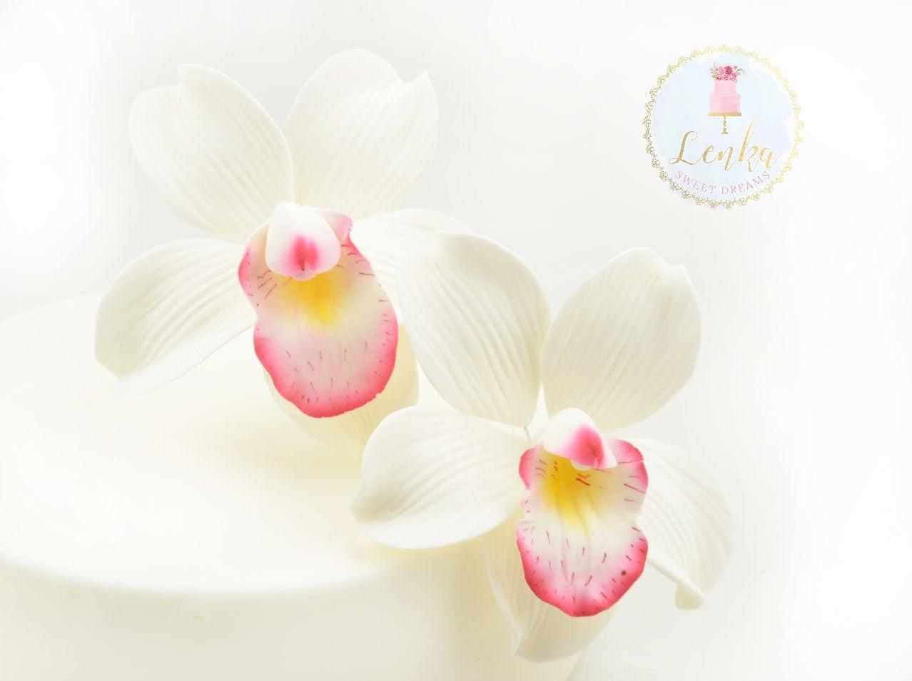 Λουλούδι από ζαχαρόπαστα Cymbidium Orchid - Cymbidium Ορχιδέα - 2 τεμάχια - Lenka Sweet Dreams