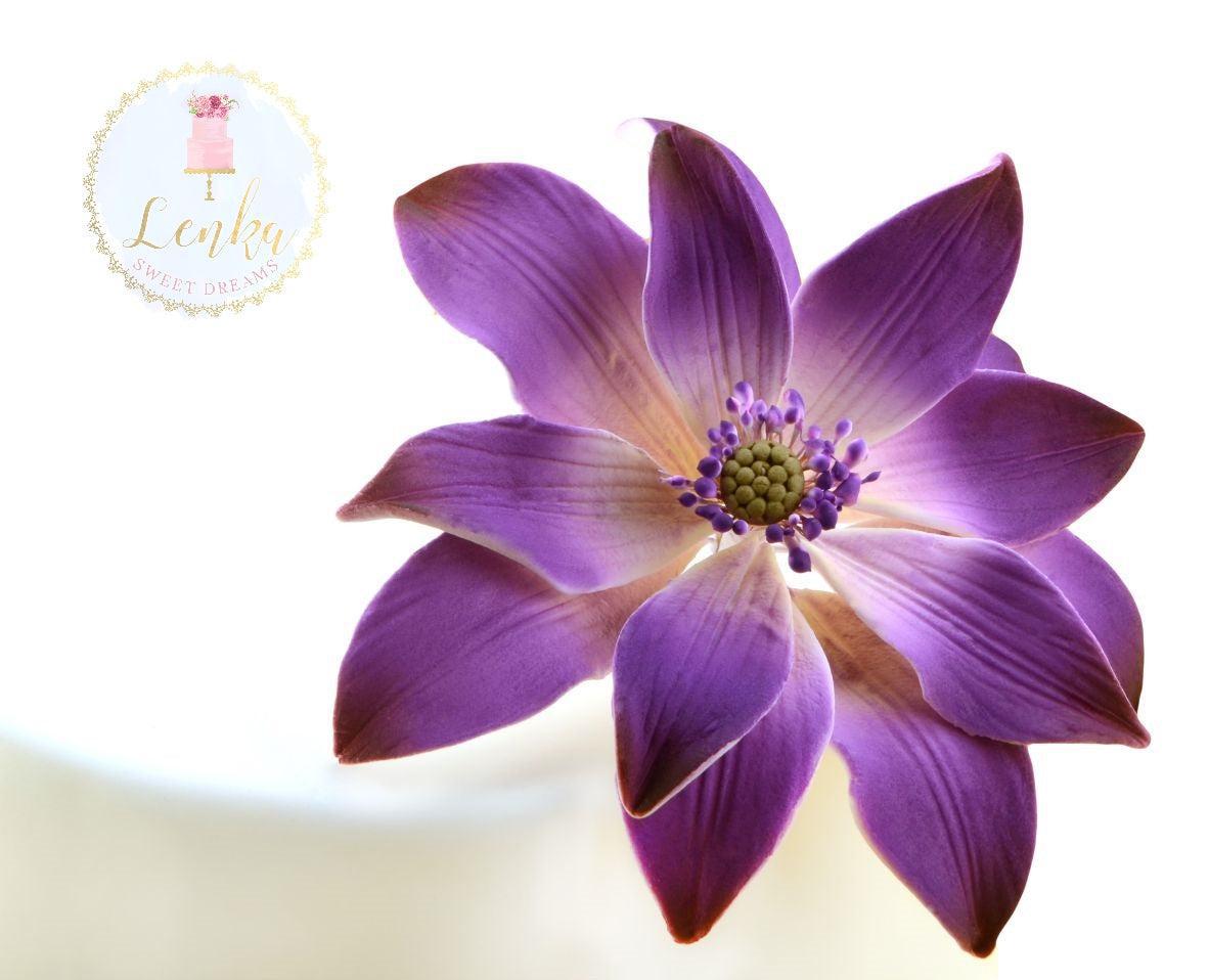 Λουλούδι από ζαχαρόπαστα Νούφαρο - Tranquil Water Lily - Lenka Sweet Dreams