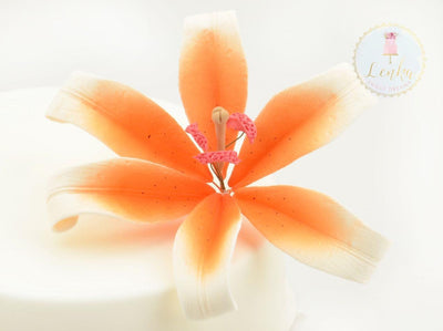 Λουλούδι από ζαχαρόπαστα πορτοκαλί λευκό λίλιουμ - Lily White Οrange spray - Lenka Sweet Dreams