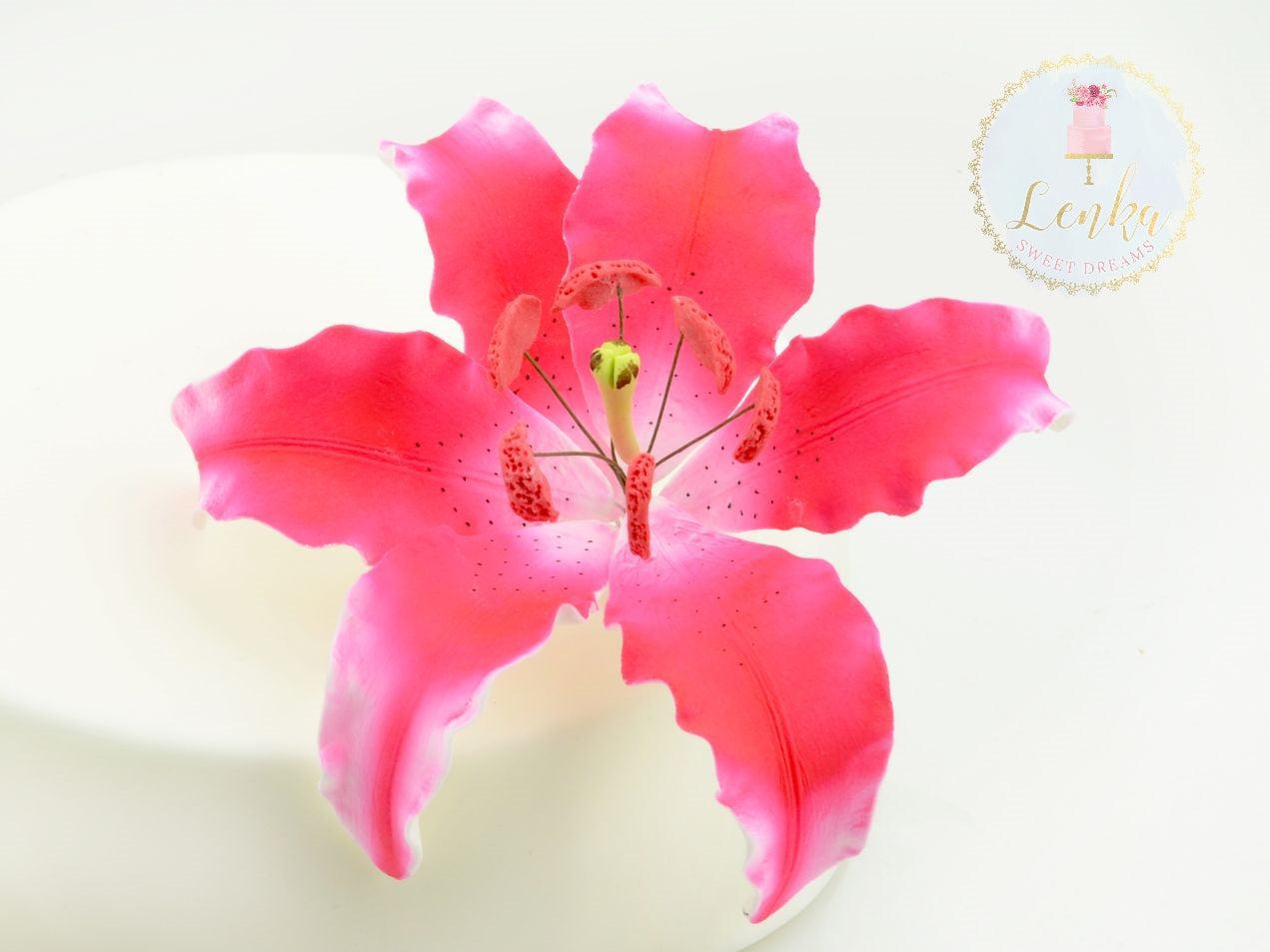 Λουλούδι από ζαχαρόπαστα Ροζ σκούρο λίλιουμ - Lily Dark Pink spray - Lenka Sweet Dreams